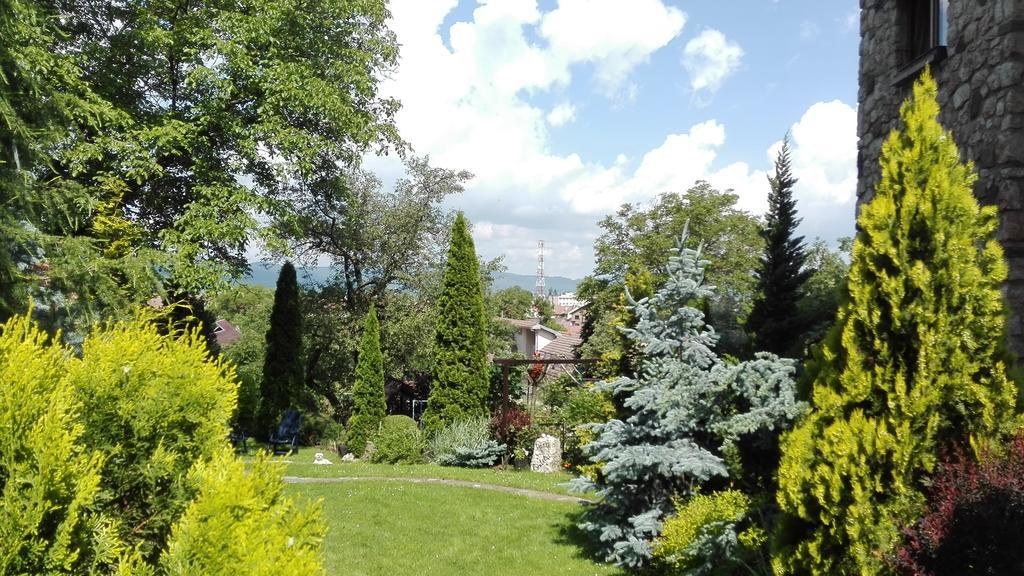 Pension Casa Contelui Rîşnov Luaran gambar