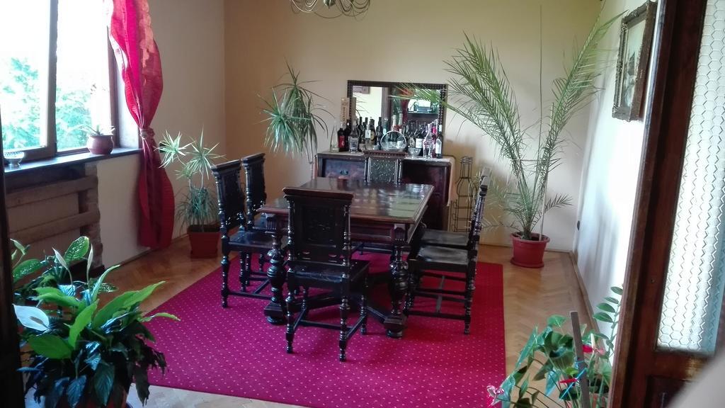 Pension Casa Contelui Rîşnov Luaran gambar