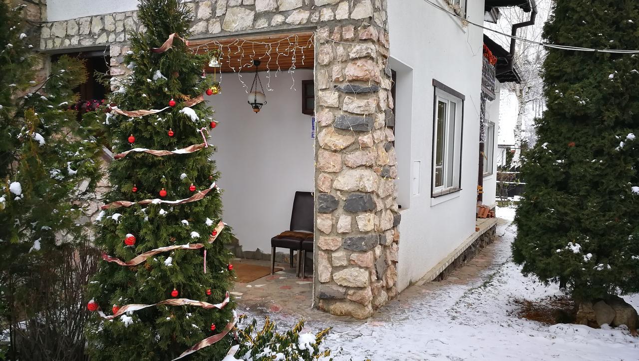 Pension Casa Contelui Rîşnov Luaran gambar