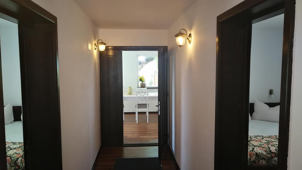 Pension Casa Contelui Rîşnov Luaran gambar